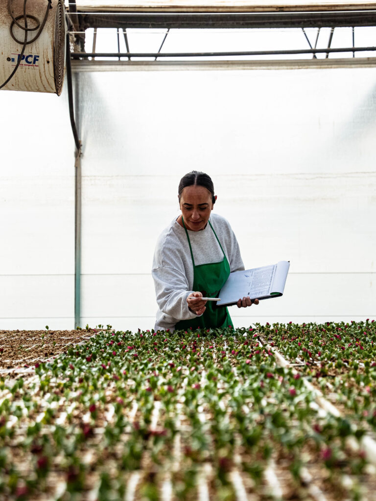 confimaplant semilleros almeria el ejido